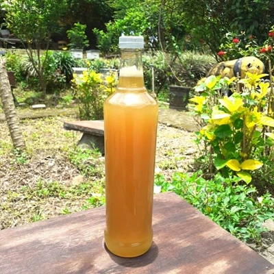 Madu murni bunga Kaliandra 600ml apis Melifera