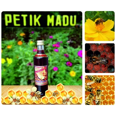 Madu Propolis Alergi 310ml kemasan botol kaca