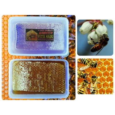 Madu Sarang Honey Comb Fresh Honey 750 gram