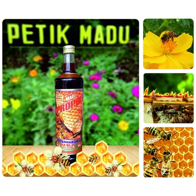 Madu Propolis Alergi 600ml kemasan botol kaca