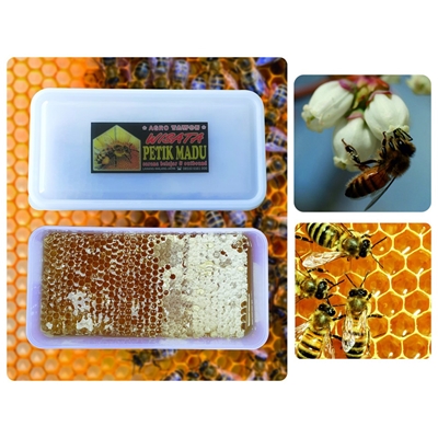 Madu Sarang Honey Comb Fresh Honey 500 gram