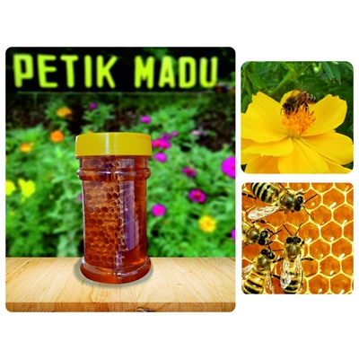 Madu Sarang Honey Comb Fresh Honey 190 gram