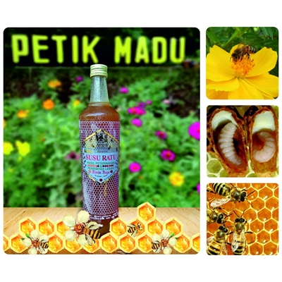 Madu Murni plus Royal Jelly 600 ml